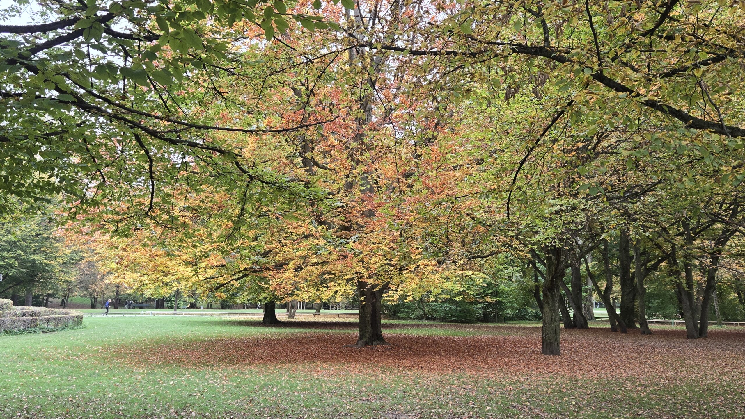 Luitpoldpark in Schwabing